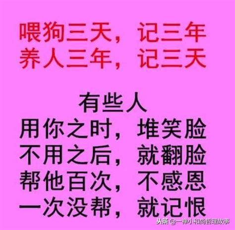 養狗三日|養狗三日，狗記三年；餵人三年，卻記三天！